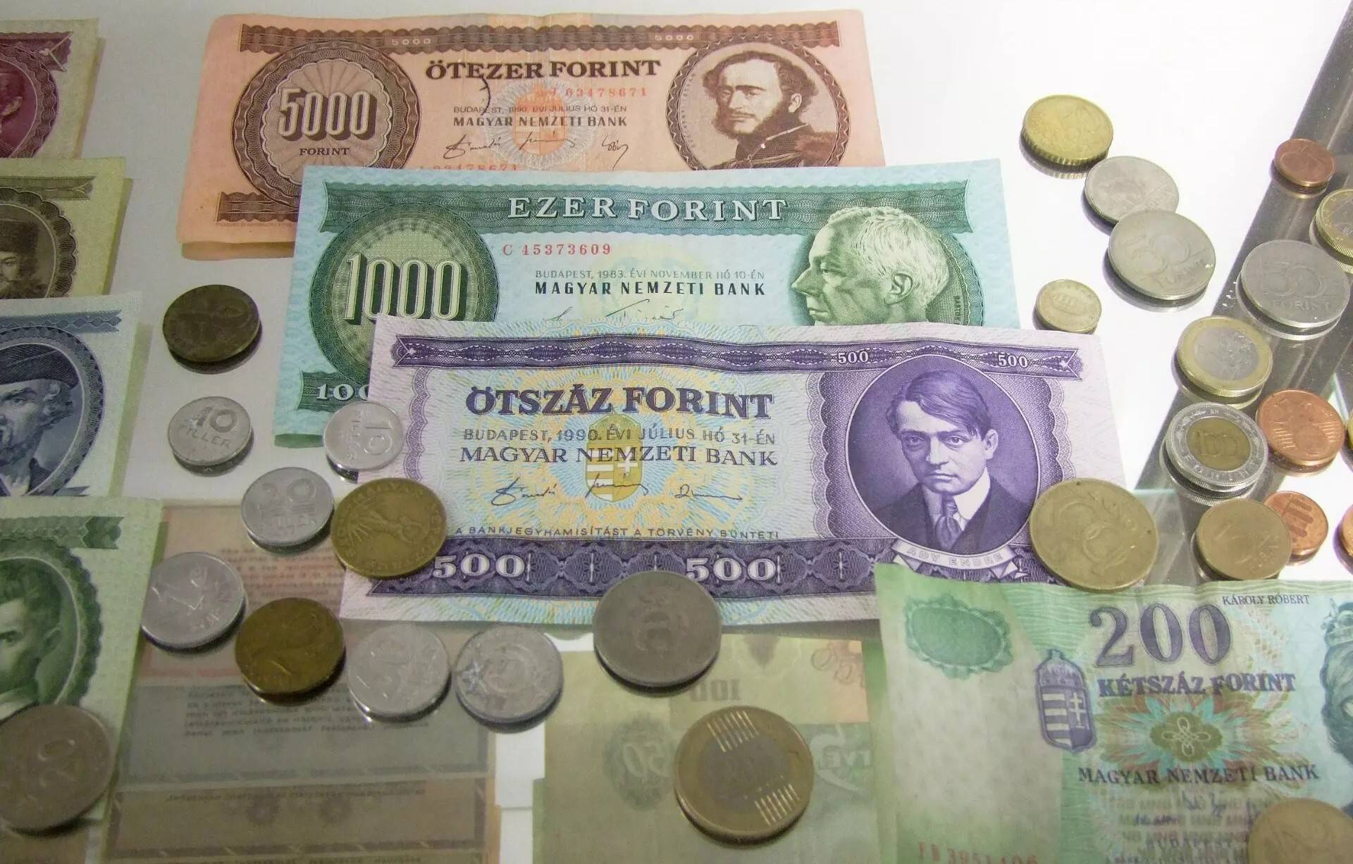  photo: Pásztory Sára