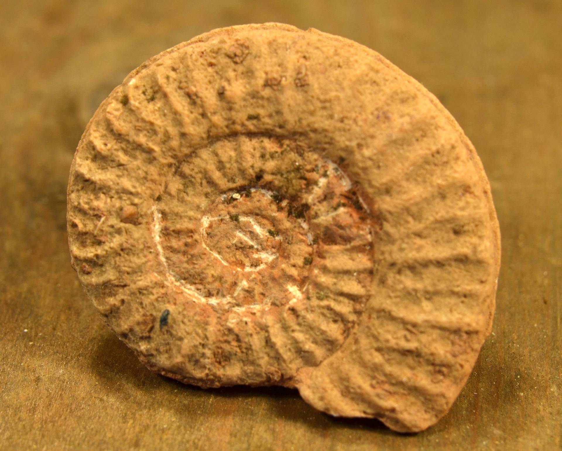  photo: Pásztory Sára