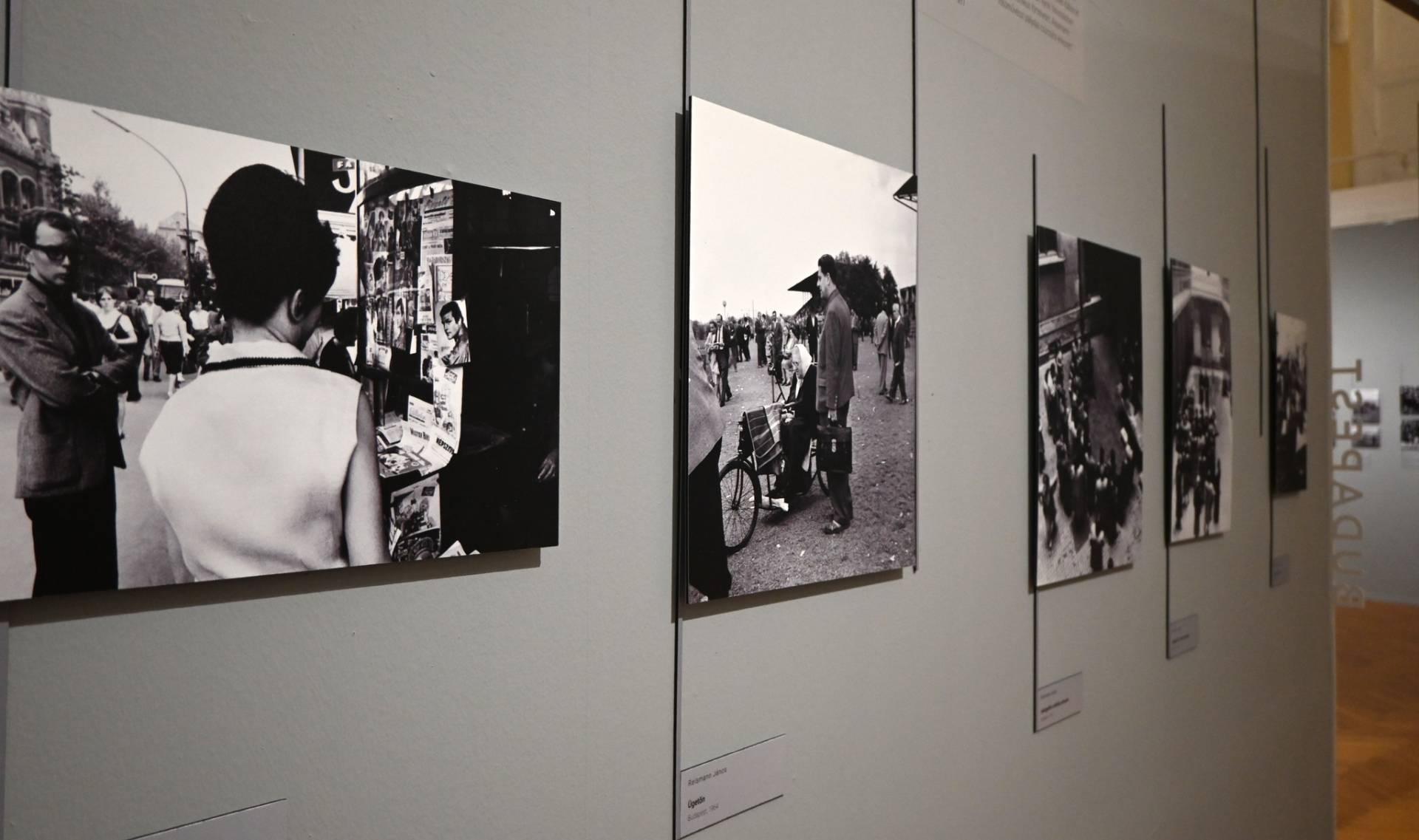  photo: Pásztory Sára